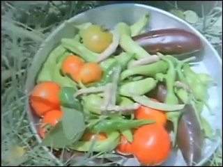 HÜLYA KOÇYİĞİT || KURBAĞALAR⚡ROMANTİK ⭐️ DRAMA  || AİLE ⚡ 1985 Tek Parça İzle ⭐️Full HD 1985 İzle⭐️