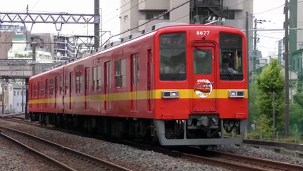 8577F & 8579F 東武亀戸線ラストラン HM掲出
