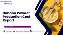 Banana Powder Production Cost Analysis Report