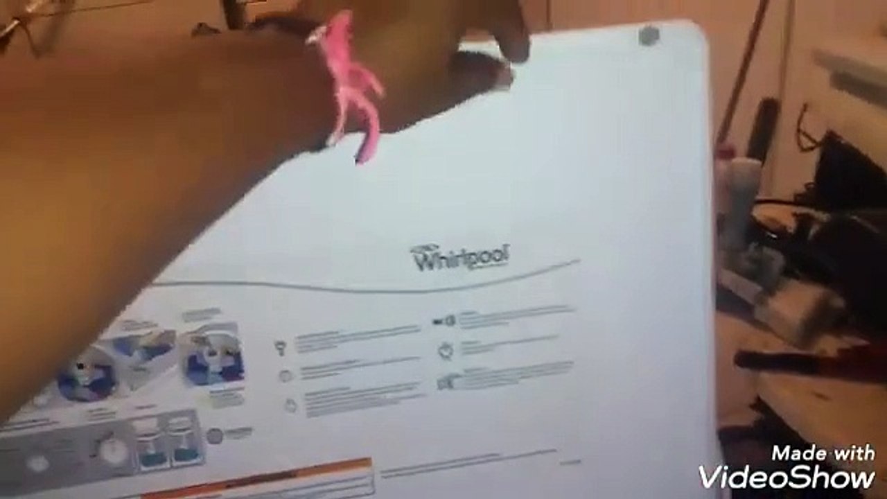 videoplayback (18)