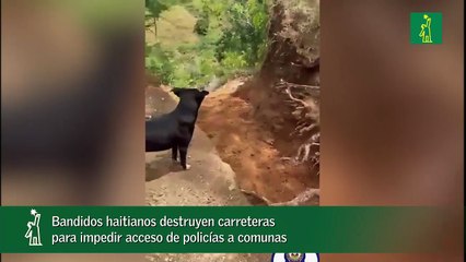 Bandidos haitianos destruyen carreteras para impedir acceso de policías a comunas