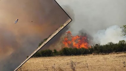Tekirdağ’da anız yangını ormana sıçradı