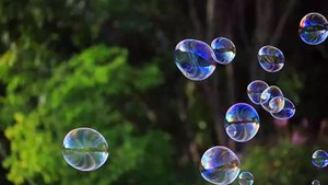 soap bubbles floating in the air with natural green blurred