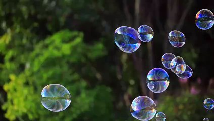 soap bubbles floating in the air with natural green blurred