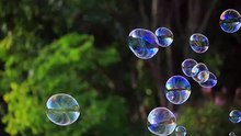 soap bubbles floating in the air with natural green blurred