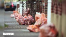 Simpler Recycling in England: New bin collection rules for 2026