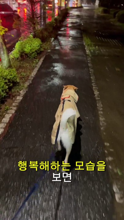 Joy is a child who has to come out unconditionally, even if it rains or snows, typhoons, or heavy snow, and when she looks happy, she can't help but go out even if it's hard.