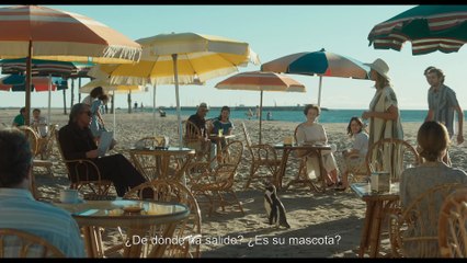 Lo que aprendí de mi pingüino - Tráiler oficial VOSE