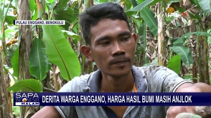 Petani di Pulau Enggano Terpuruk, Harga Jual Pisang Hasil Bumi Terbesar Masih Anjlok | SAPA MALAM