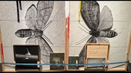 A Palazzo Ducale di Gevova Jacopo Benassi Libero!