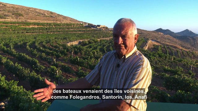 Grèce : le vignoble de l'île de Sikinos remet au goût du jour des cépages d'exception