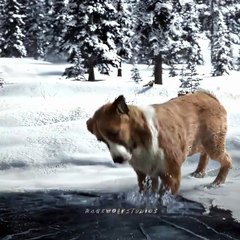 “You´re a good Dog Buck“ The Call of the Wild Edit #shorts #edit