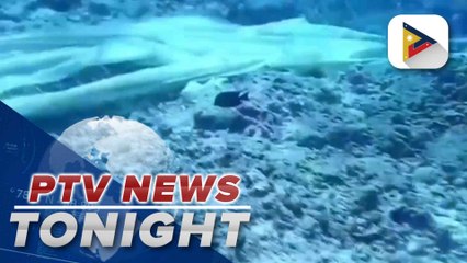 Palawan Council for Sustainable Dev’t discovers parachute anchor during Pag-asa Reef 1 assessment