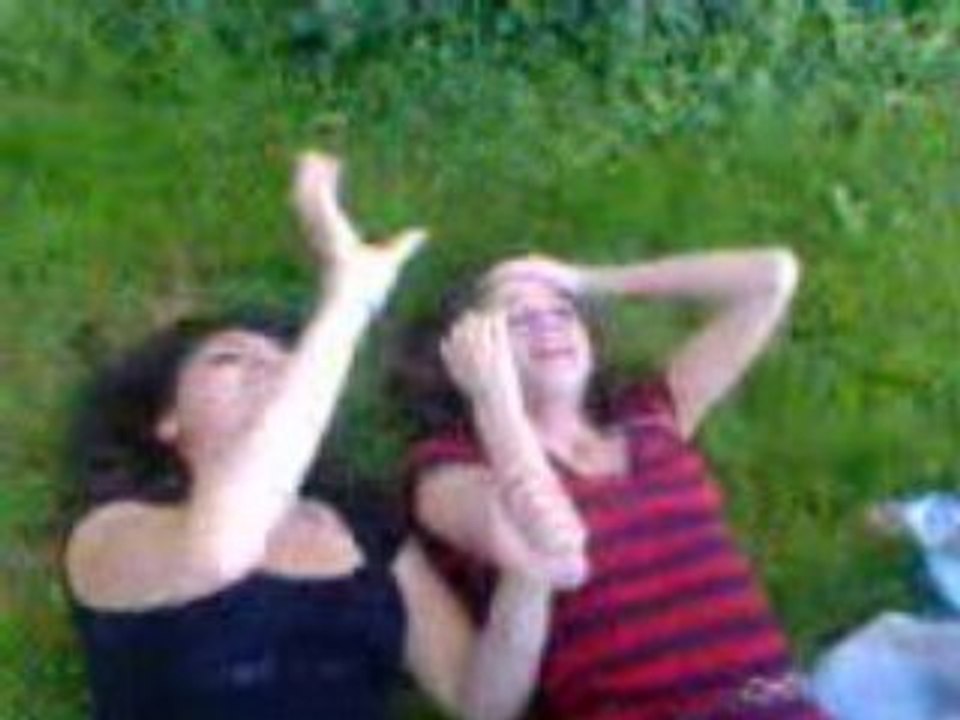 Moustique volant