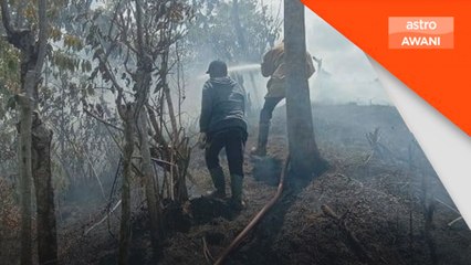 Tujuh hektar musnah dalam kebakaran hutan di Sumatera