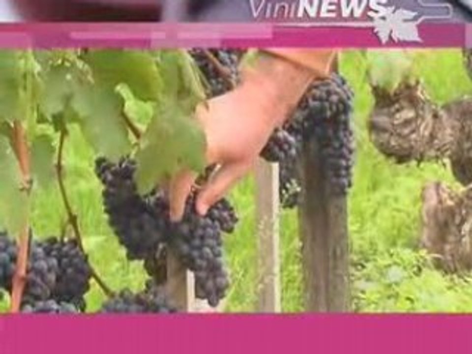 Terroirs et cépages vin wine