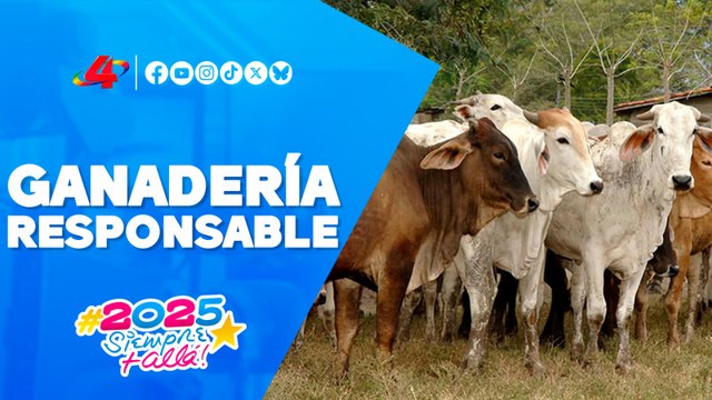 Innovaciones tecnológicas del INTA para una ganadería verde y responsable 🌿🐄