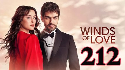 Ruzgarli Tepe - Episode 212