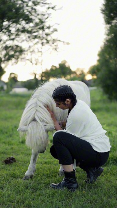 Os animais mais fofos do mundo  n•64