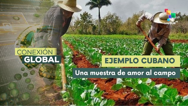 Los campesinos cubanos son esenciales para lograr la soberanía alimentaria