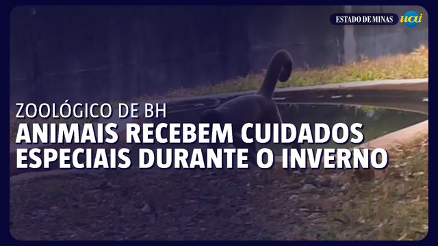 Animais do zoológico de BH recebem cuidados especiais durante o inverno