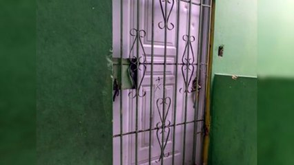 Autoridades fallaron en proteger a menores en San Carlos