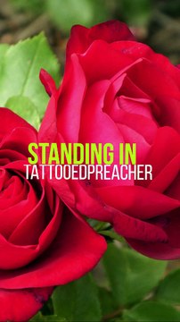 ✅💘Início da Primavera: Música relaxante para começar a temporada sem estresse ou ansiedade- Fragmentos #86