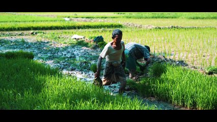 The Beauty of Bangladesh CITYCELL THEME | Re-Instrumental by OMER J MUSIC