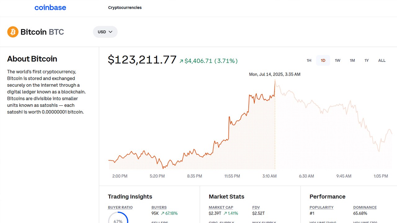 비트코인, 한때 12.3만 달러 돌파...12만 달러 안팎 등락 / YTN