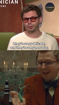Michael Cera Has Some Thoughts About All Those Bugs He Had To Hold During 'The Phoenician Scheme' #shorts