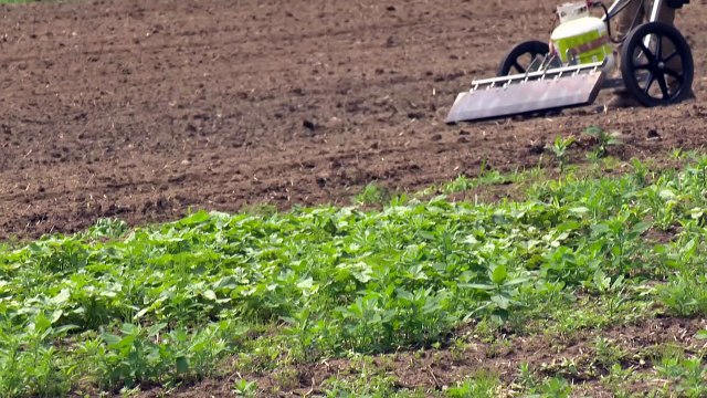 CH 14 Juillet TOPO Jardins Cap-aux-Oies WEB