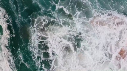 THE BEST OF REGGAE WITH BEAUTIFUL IMAGES