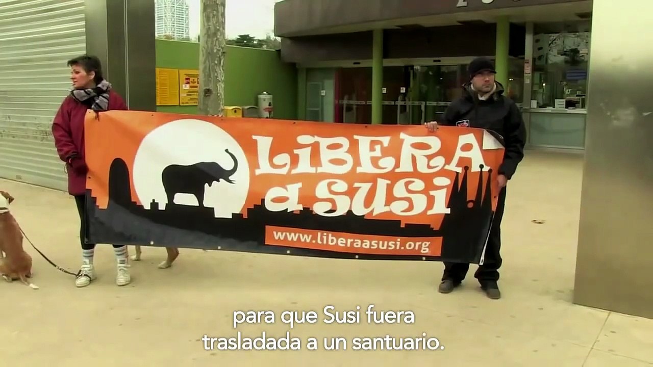 Susi, una elefanta a l'habitació | movie | 2021 | Official Trailer