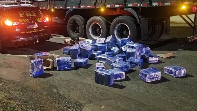 Quase 12 horas de ocorrência : PRF detalha apreensão de 1,3 tonelada de maconha
