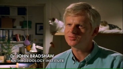 El mundo de los Gatos - Documental - Discovery Channel