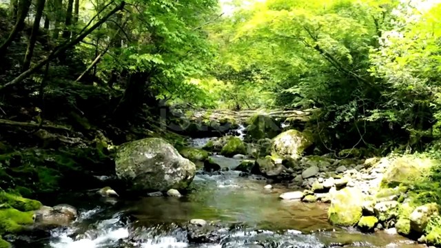 Hazrat Abbas (A.S) – The Standard Bearer of Loyalty and Ultimate Sacrifice karbala series episode no 08