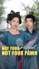 the handmaid's counterattack, Not Your Puppet Not Your Pawn