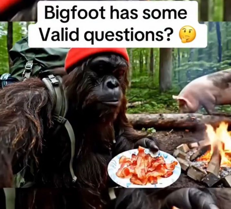 valid questions