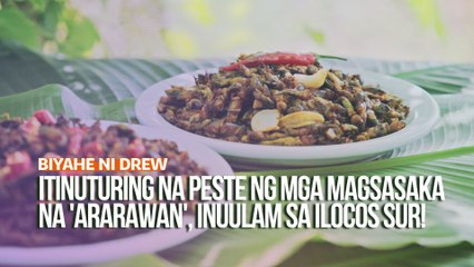 Itinuturing na peste ng mga magsasaka na 'ararawan', inuulam sa Ilocos Sur! | Biyahe ni Drew