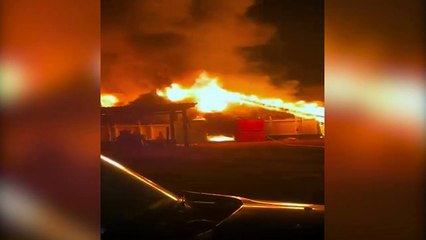 Vídeo mostra incêndio de grandes proporções que destruiu aviário e matou 21 mil pintainhos