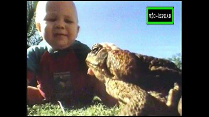 Mundo Natural: El Hechizo de los Sapos - Documental (1994) - Español Latino *-Benardo Mayorga-*