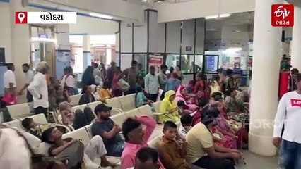 વડોદરામાં ડેન્ગ્યુ વકર્યો : છેલ્લા 12 દિવસમાં 70થી વધુ કેસ, આરોગ્ય તંત્ર સતર્ક થયું