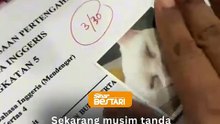 Sticker kucing jadi bahasa teguran