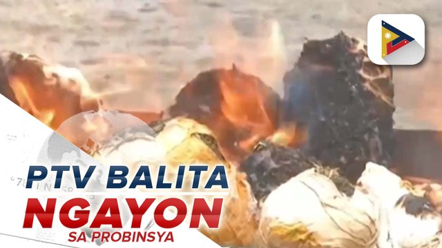 P3.8-M na halaga ng marijuana, sinunog ng mga awtoridad