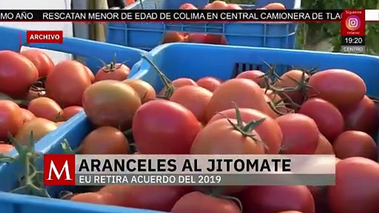¿Cuál es el panorama del jitomate mexicano tras los aranceles?