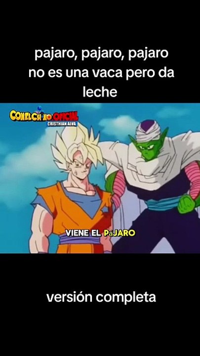 Pájaro pájaro pájaro