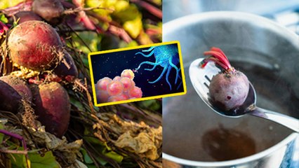 Raw Beetroot Vs Boiled Beetroot:कच्चा या उबला चुकंदर कौन ज्यादा फायदेमंद,खाने का सही तरीका | Boldsky