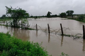 swm news: बारिश से लबालब हुए खेत, बुवाई का आ गया संकट