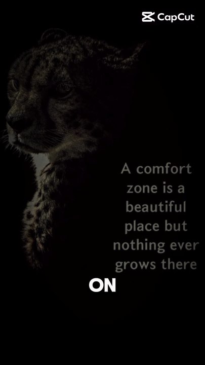 a comfort zone video