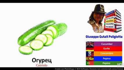 Visual Dict with Audio Огурец, Баржа, Гитара, Цикада